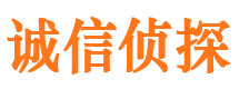 琼山市私家侦探